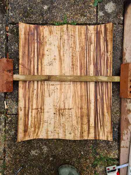 Sweet chestnut bark flattened