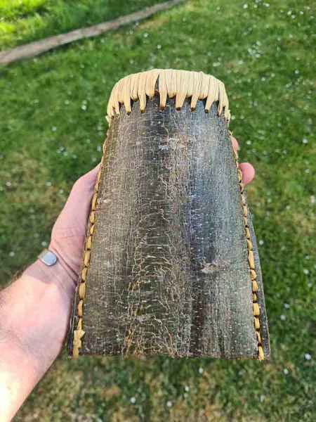 Quickly made green bark berry collector