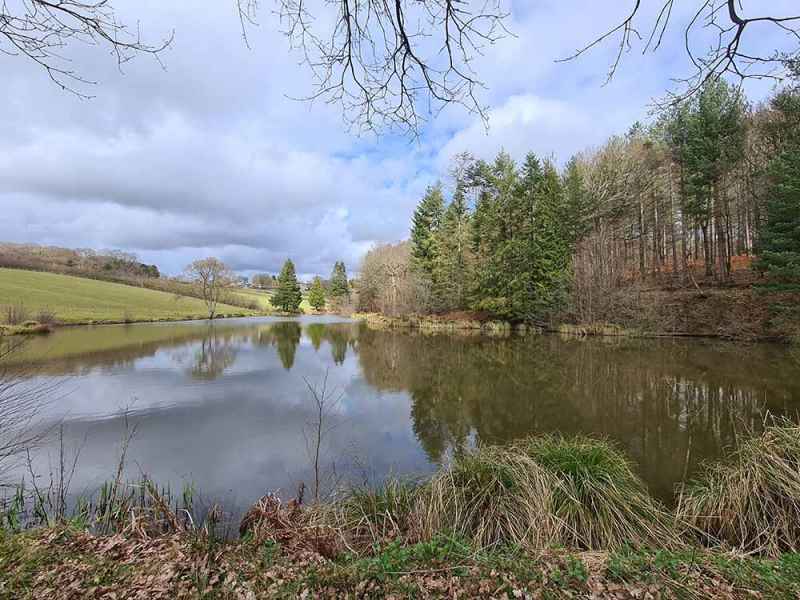 Trout lake 1 at Colin Godmans