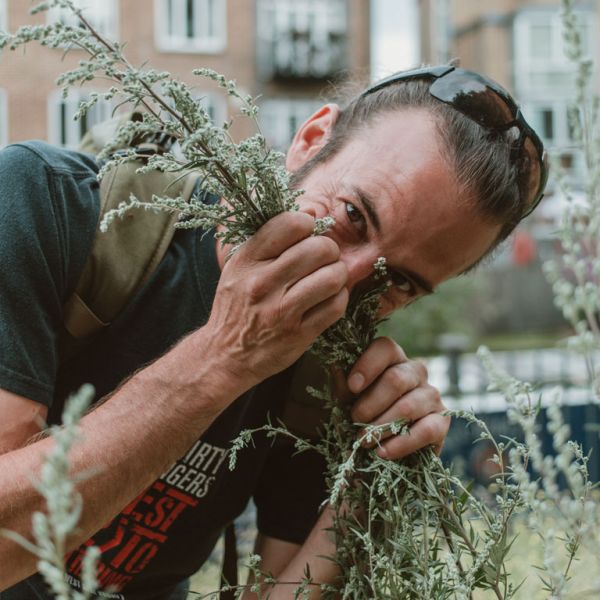 Foraging Teacher