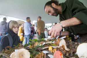 Children learning about fungi