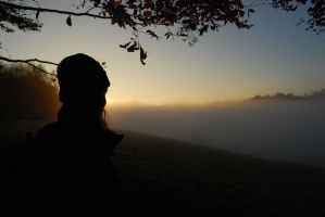 North Downs Fog View