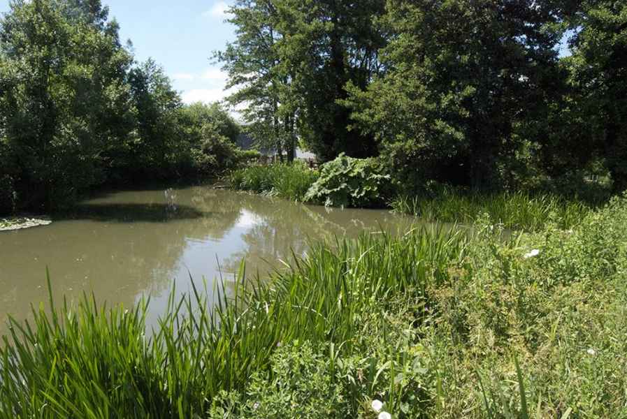 Coltsford Mill - Mill Pond Bridge