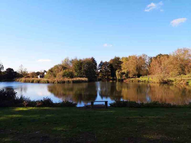 Coltsford Mill Trout Fishery Sunset