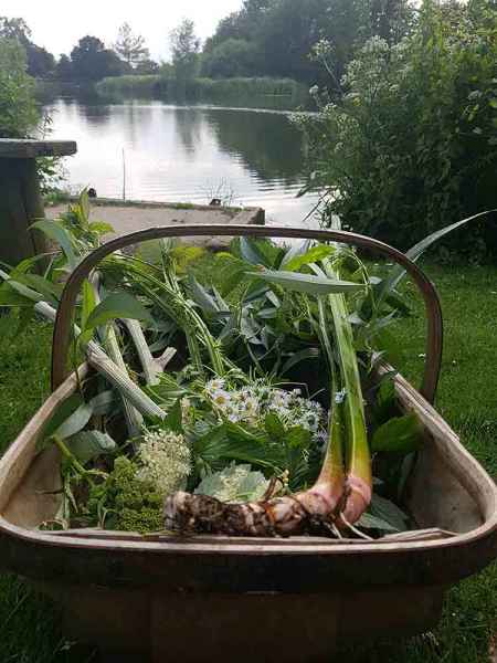 Sussex Trug - Mixed bankside foraging