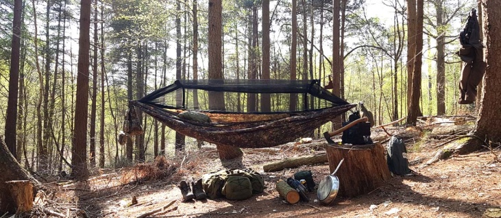 buscraft-intro-summer