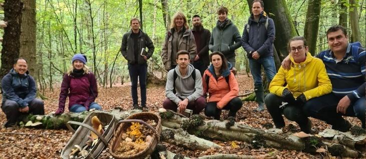 Mushroom Hunting - Early Autumn