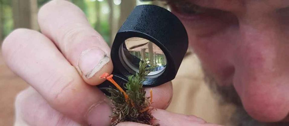 /events/colin-godmans-fungi-id-day