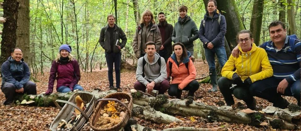 Mushroom Hunting - Early Autumn