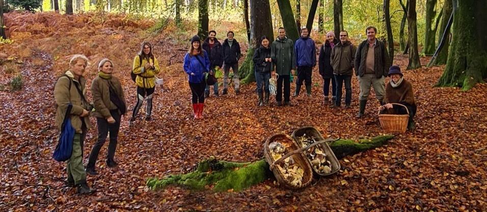 Mushroom Hunting - Mid Autumn