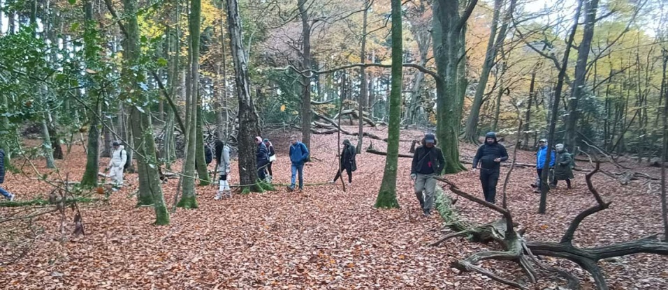 mushroom-hunting-new-forest