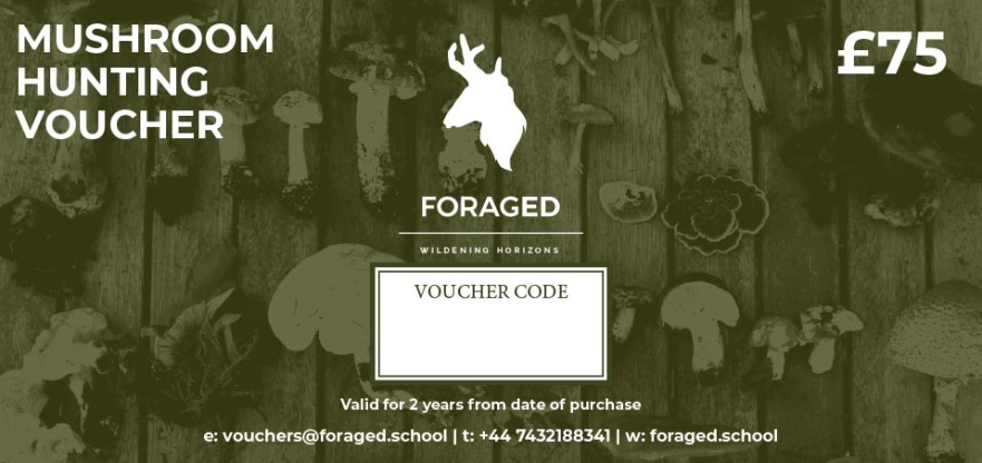 Foraged Mushroom Hunting Voucher 2026