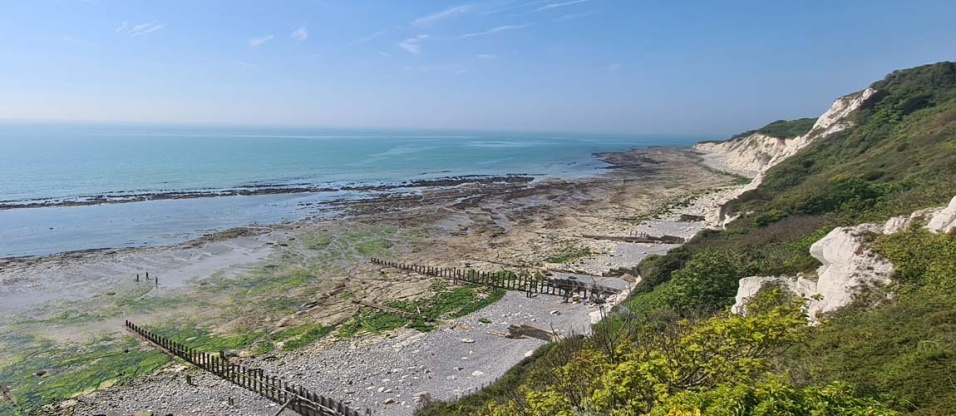 wild-food-walk-coastal-july